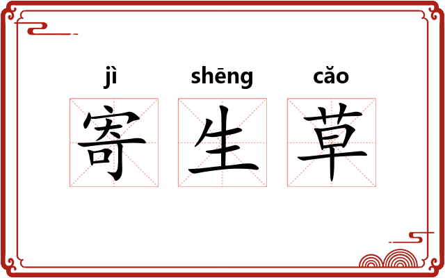 寄生草