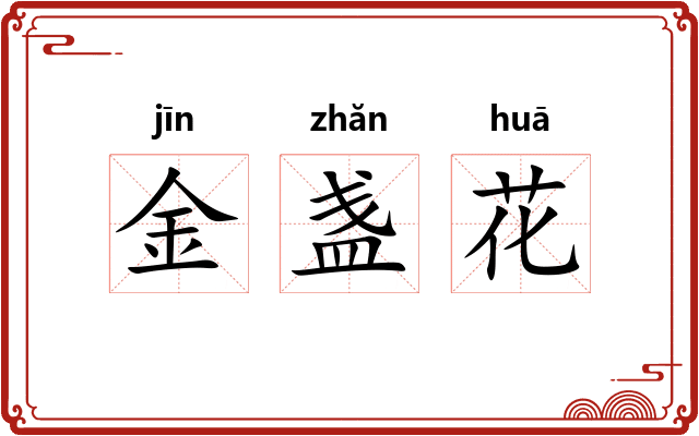 金盏花 金盏花