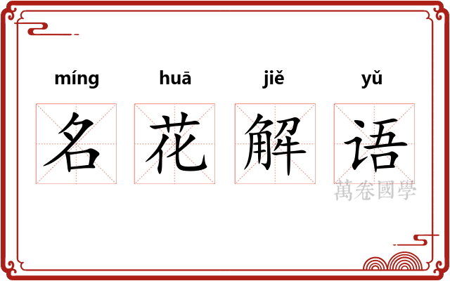 名花解语 名花解语