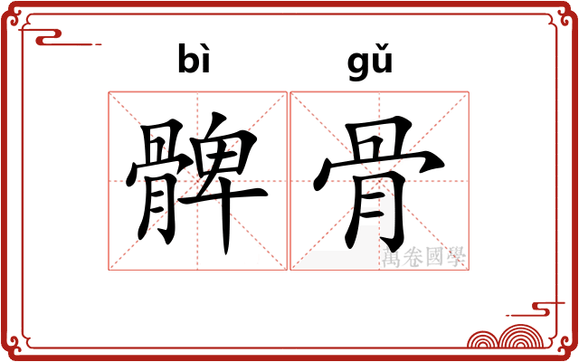 髀骨 髀骨