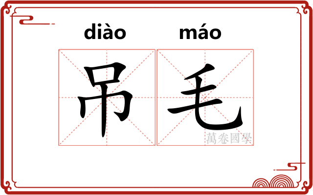 吊毛