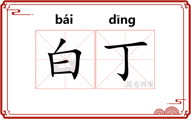 白丁