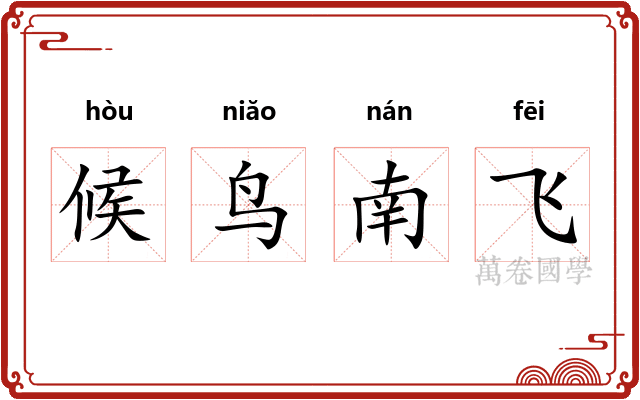 候鸟南飞