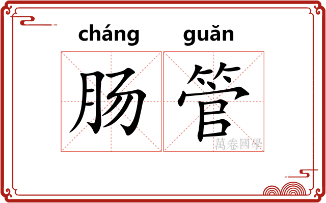 肠管