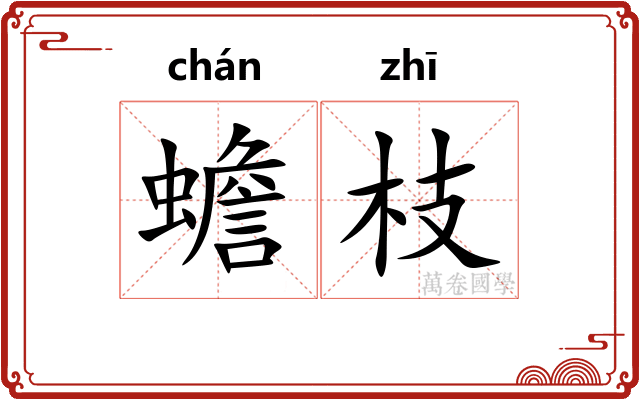 蟾枝 蟾枝