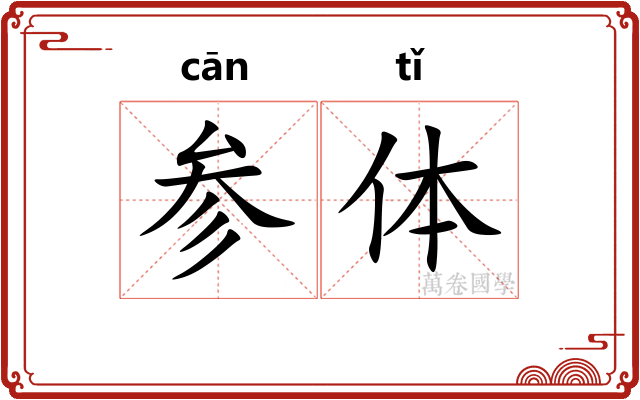 参体 参体