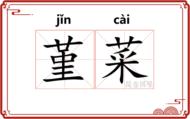 堇菜