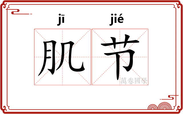肌节