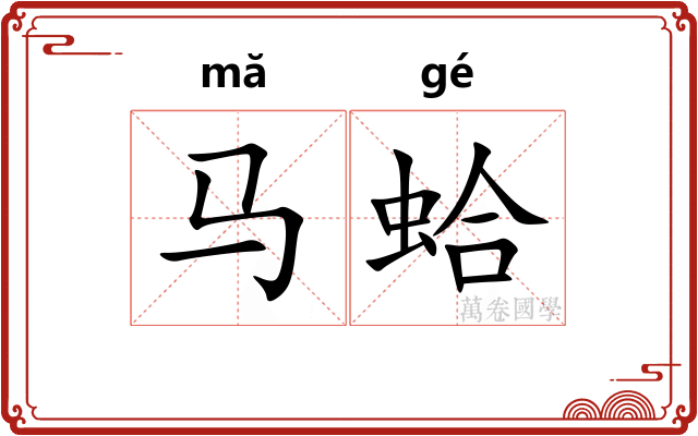 马蛤