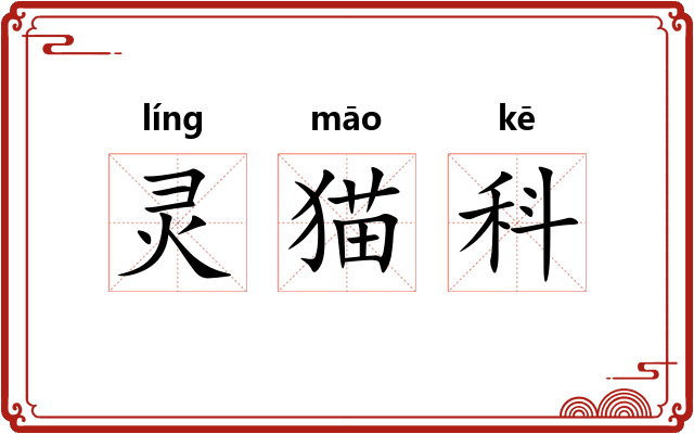 灵猫科