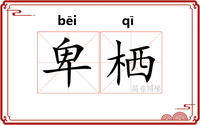卑栖