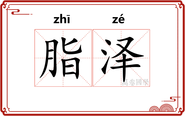 脂泽