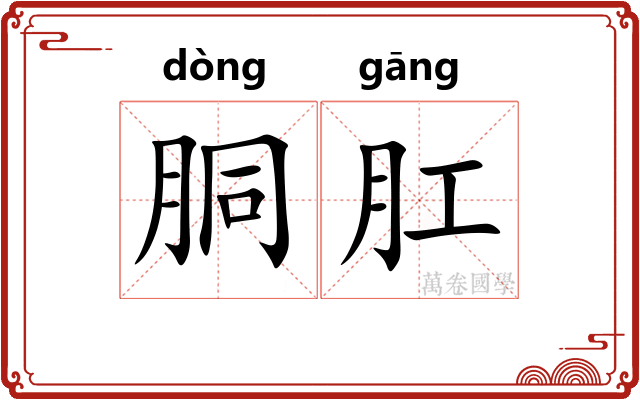 胴肛