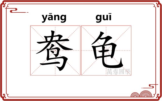 鸯龟