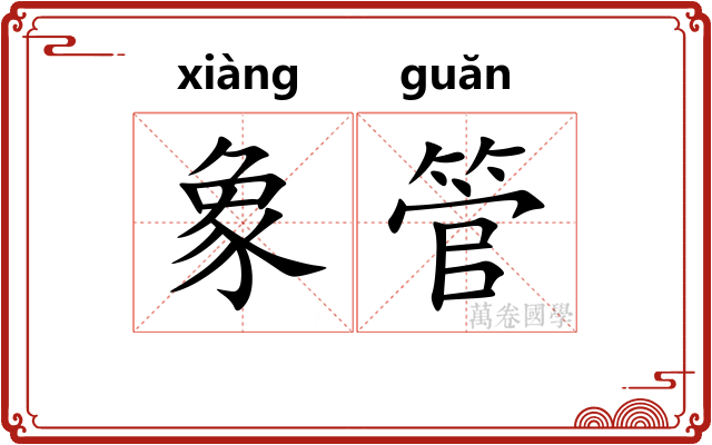 象管