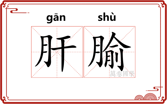 肝腧