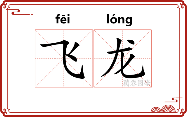 飞龙