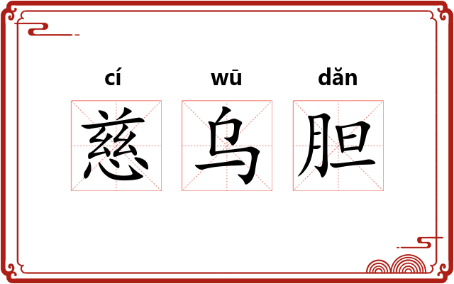 慈乌胆 慈乌胆