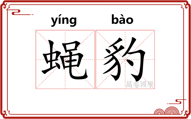 蝇豹