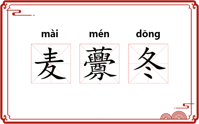 麦虋冬