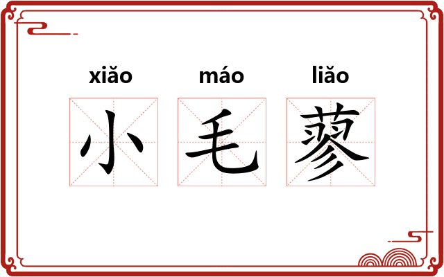 小毛蓼