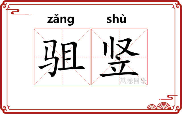 驵竖
