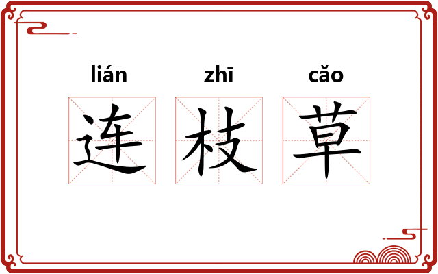 连枝草