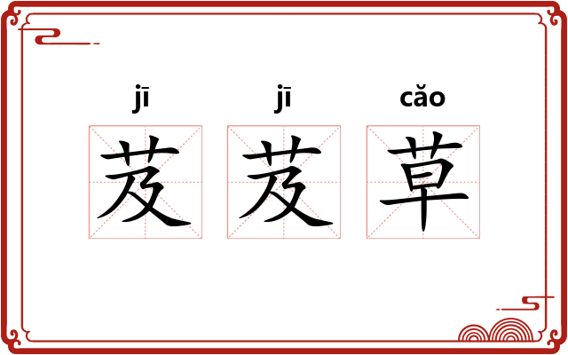 芨芨草