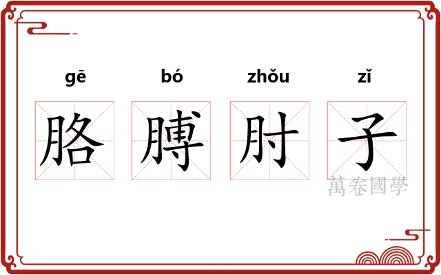 胳膊肘子