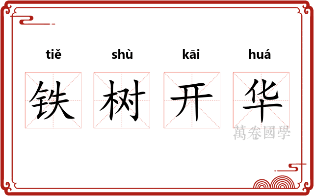 铁树开华