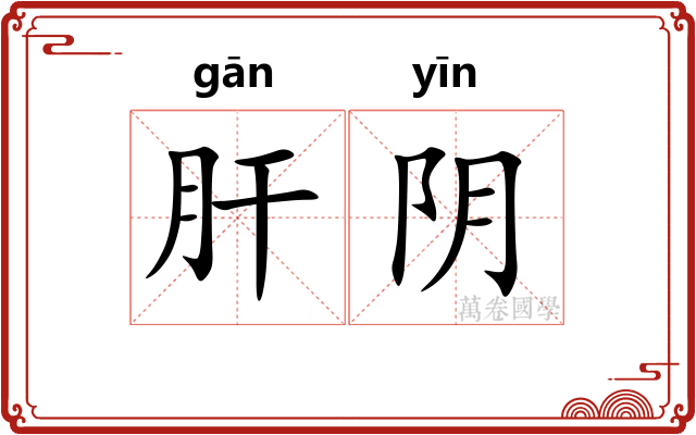 肝阴 肝阴
