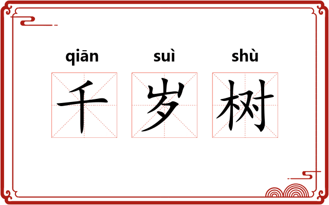 千岁树 千岁树