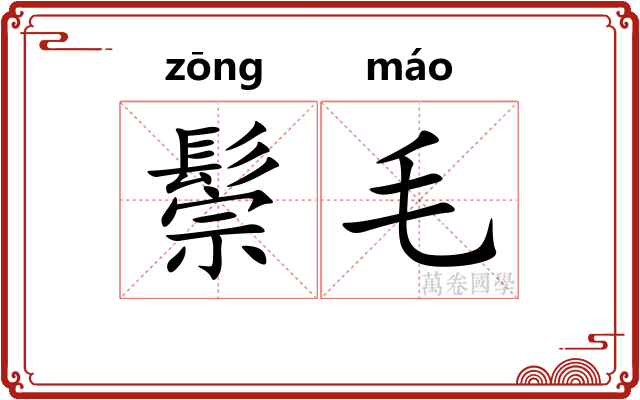 鬃毛