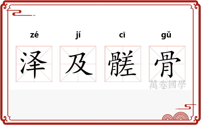 泽及髊骨