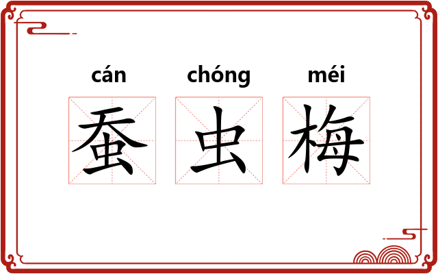 蚕虫梅