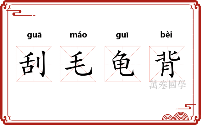 刮毛龟背