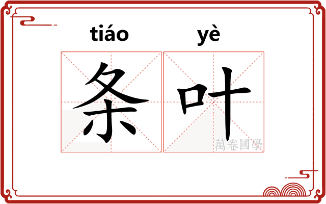 条叶