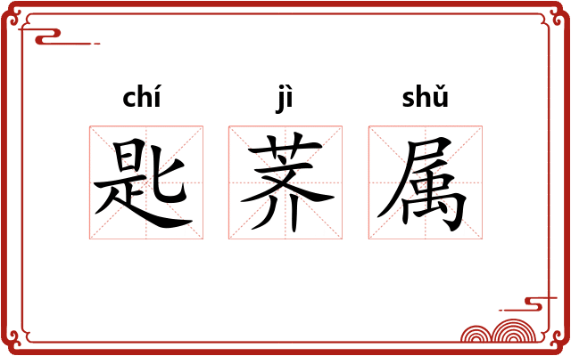 匙荠属