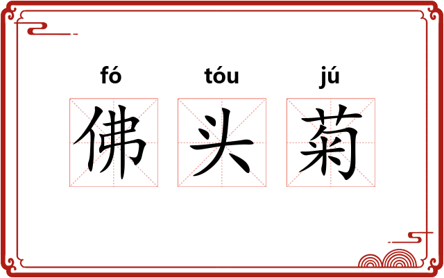 佛头菊
