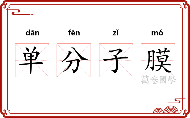 单分子膜