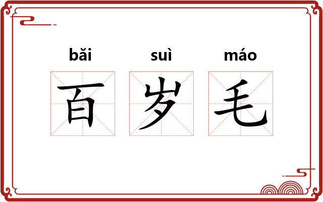 百岁毛