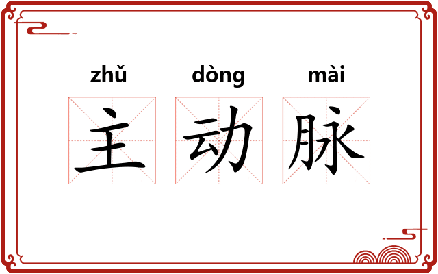 主动脉