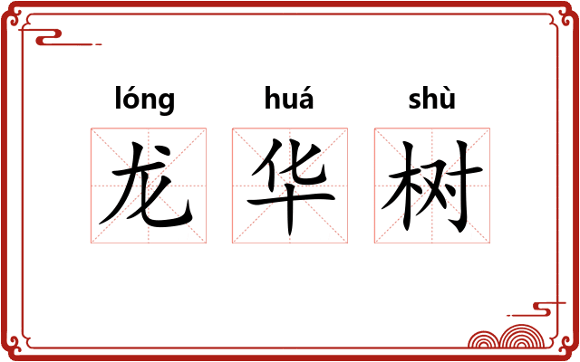 龙华树