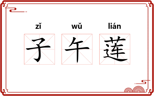 子午莲