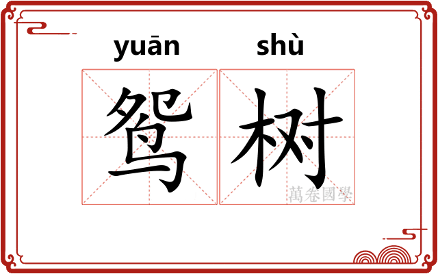 鸳树