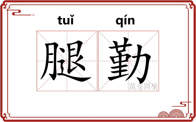 腿勤