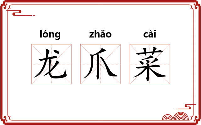 龙爪菜