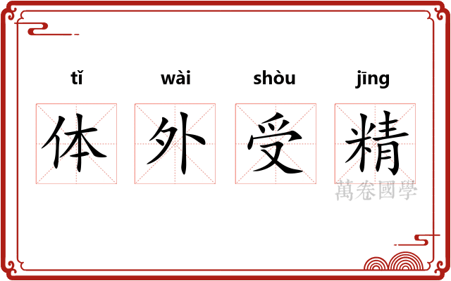 体外受精