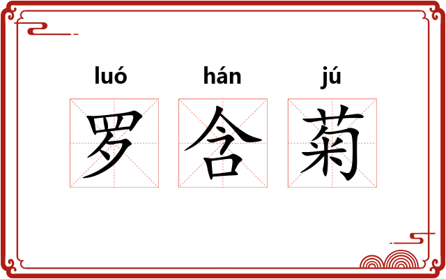 罗含菊
