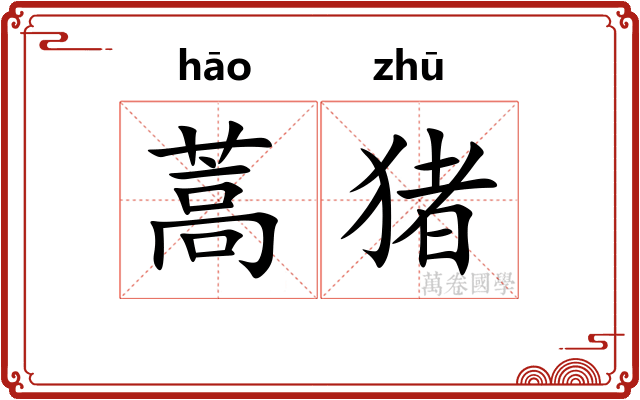蒿猪